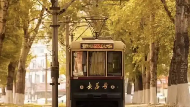 吉林長春市區經典包車一日遊【可定制路線】（中／英文司導）