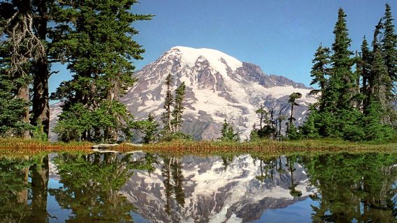 Tour di 1 giorno al Parco Nazionale del Monte Rainier | Tour per 12 persone con pasti e guida in lingua inglese | andata e ritorno da Seattle