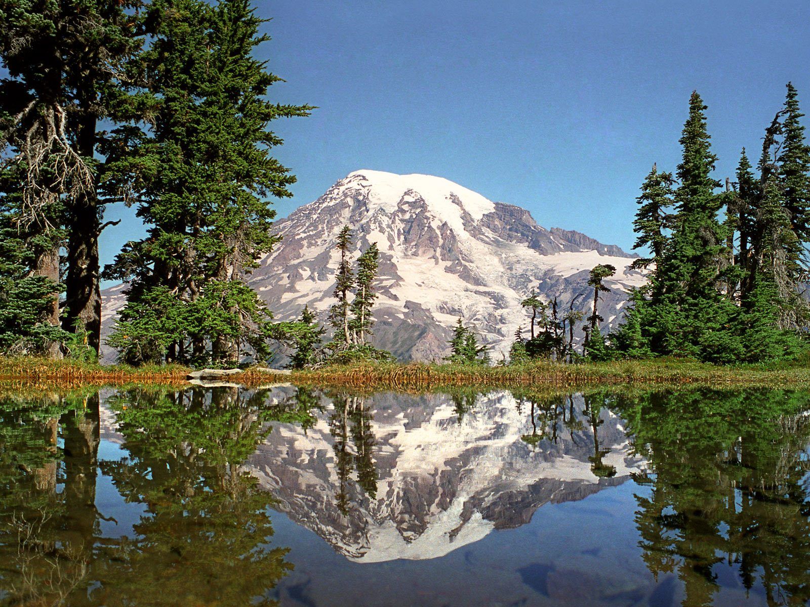 Mount Rainier National Park 1-Day Tour with Meals | English-Speaking Guide for 12-Person Group | Round-Trip from Seattle