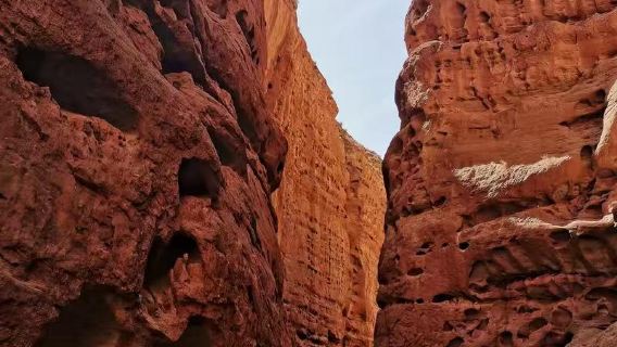 Afternoon half-day tour to Pingshan Lake/Private car or business vehicle for 2-8 people/Pure play/