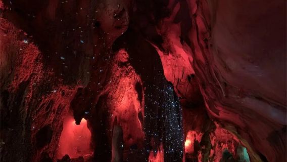 婺源北線一日汽車純玩遊【靈巖洞+彩虹橋+嚴田+思溪延村】