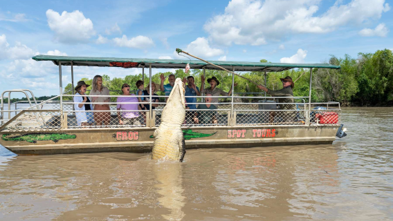 Excursión de medio día/un día en crucero para ver cocodrilos en Darwin con servicio en inglés + opción de transporte de ida y vuelta a Darwin