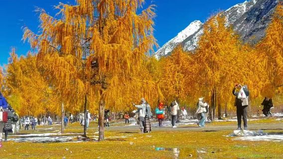 Chengdu - bus tickets to optional destinations like Siguniang Mountain, Bipenggou, and Wawu Mountain|Departure · Return Optional round-trip