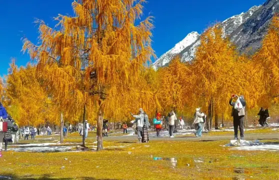 成都--四姑娘山/畢棚溝/瓦屋山等可選不同目的地巴士票|去程·回程 可選來回