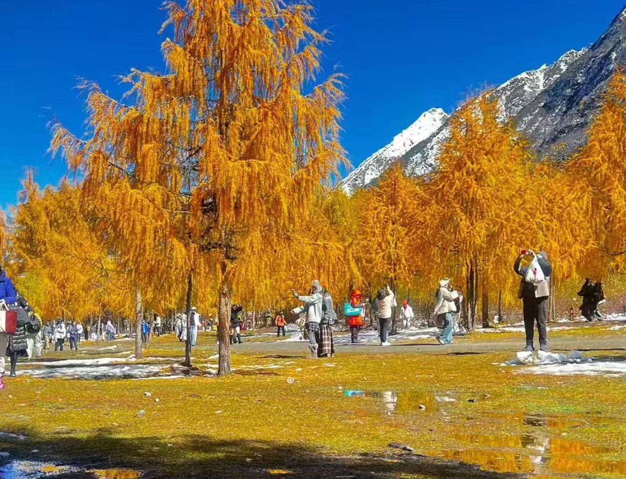 Chengdu - bus tickets to optional destinations like Siguniang Mountain, Bipenggou, and Wawu Mountain|Departure · Return Optional round-trip