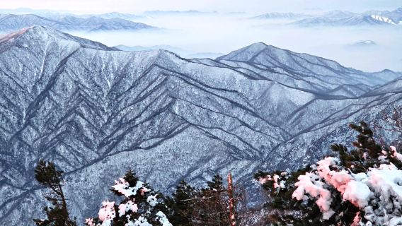 Eksklusif Musim Panas dan Gugur | Dari Seoul: perjalanan satu hari ke Seoraksan dan Pulau Nami