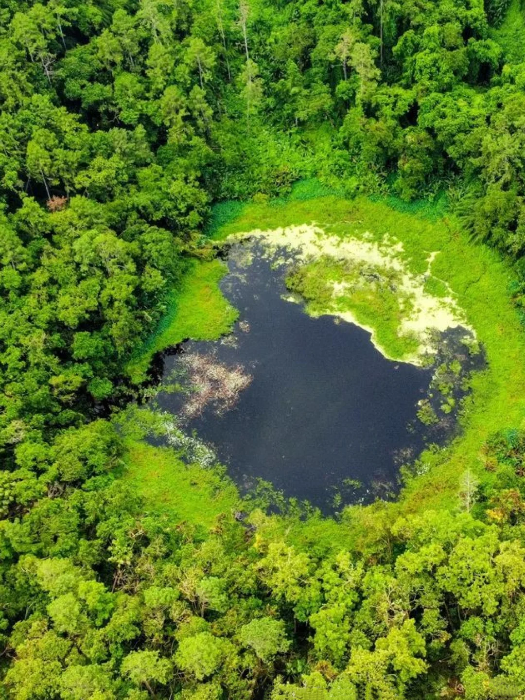 Crater + Chamarel Seven Colored Earth Geopark + Grand Bassin + Black River Gorges [Minimum 2 persons] Traditional Southern 1-day Tour
