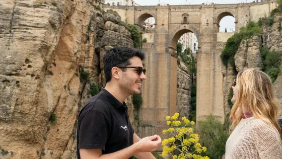 Córdoba, Povoado Branco e Ronda: Passeio Guiado de um Dia de Sevilha