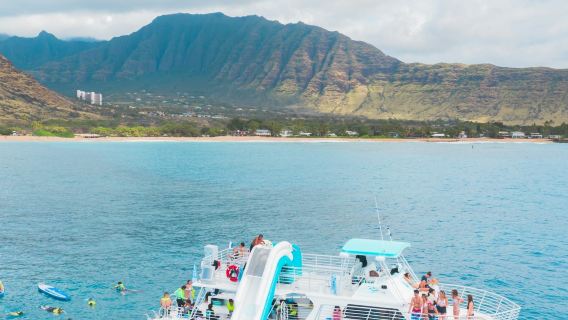 Oahu: tour guidato per osservare i delfini e fare snorkeling + pranzo + trasferimento di andata e ritorno