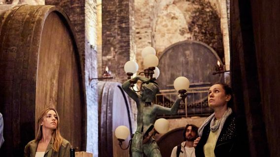 Montepulciano: visita guidata andata e ritorno di due tenute vinicole + degustazione di vini e cibo