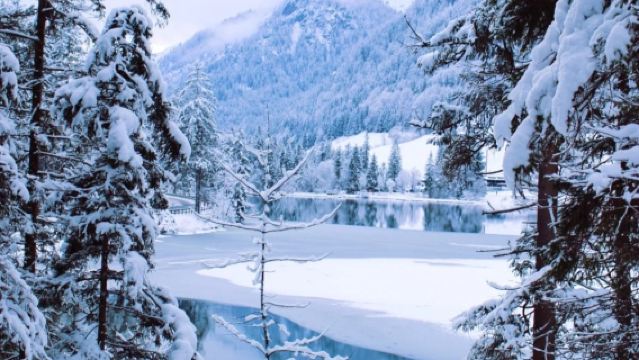 德國慕尼黑來回新天鵝堡+上阿默高+維斯教堂-可包車-精選