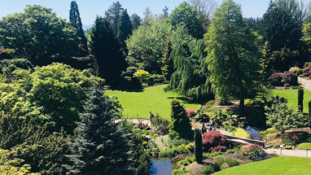 加拿大溫哥華 機場 接機/出發