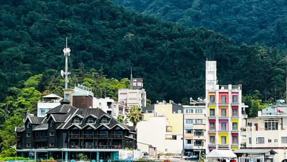 台中|阿里山遊記+奮起湖|包車一日遊及自選行程