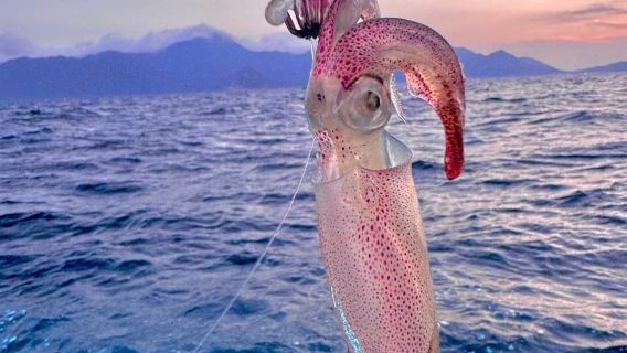 Pesca al tramonto e pesca notturna di calamari a Phu Quoc Island