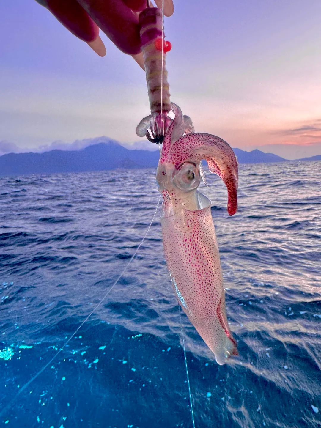 Pesca al tramonto e pesca notturna di calamari a Phu Quoc Island