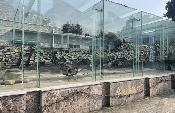 四川南充六合絲綢博覽園+清暉閣+北湖公園一日遊中英文服務