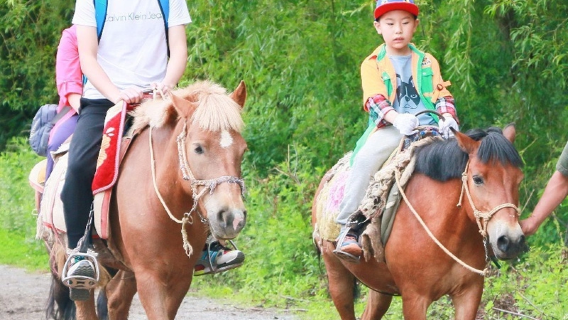 雲南旅遊拉市海一日遊純玩茶馬古道濕地公園麗江千古情貴賓門票