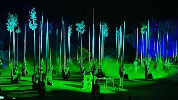 Great Seats for Night Shows|Wuyishan "Impression Da Hong Pao" Show (Optional Seating) + Tea Experience