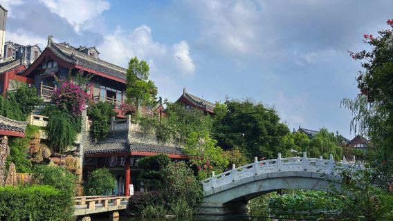Excursión de un día con servicio en inglés a la montaña Pengzu, el templo Zhongyan, la torre Yuanjing y la calle acuática de la impresión Dongpo en Meishan, Sichuan