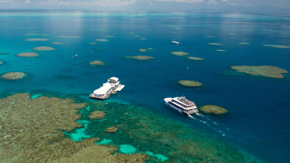 Cairns Great Adventures Cruises Full-Day Tour to the Great Barrier Reef [Options Available for Moore Reef/Green Island]