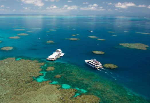 Cairns Great Adventures Cruises Full-Day Tour to the Great Barrier Reef [Options Available for Moore Reef/Green Island] AUD 106.28