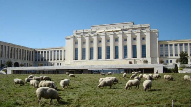 日內瓦洛桑中文包車一日遊：萬國宮+奧林匹克博物館+日內瓦舊城