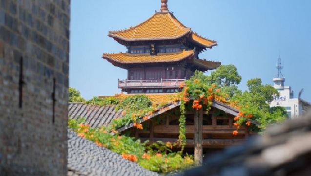 [Pure Tour] Jingdezhen + Wangxian Valley One-Day Tour | Small group tour available/Includes transportation/guide/entrance tickets