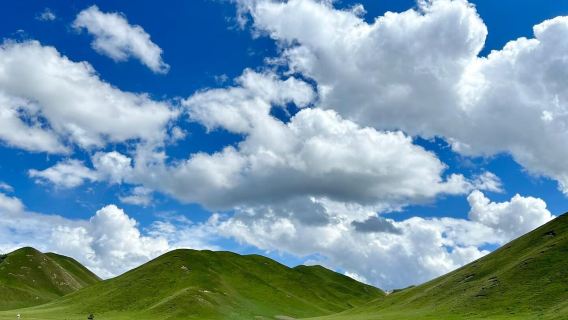 [Berlepas dari Lanzhou] Lawatan Sehari ke Xiahe Gannan | Pemandu Pelancong Bahasa Inggeris | Pemandu Pelancong Bahasa Cina | Pemandu Pelancong Bahasa Asing | Sewaan Peribadi | Pakej Berkumpulan | Hubungi Kami untuk Maklumat Lanjut
