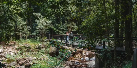 澳洲春溪國家公園+天然橋+螢火蟲洞一日遊【布里斯本來回】