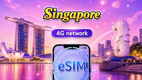 Singapore 4G eSIM | Supports Google Maps / ChatGPT | Daily/Total Data Plans | 24-Hour Billing | 1–30 Days | QR Code
