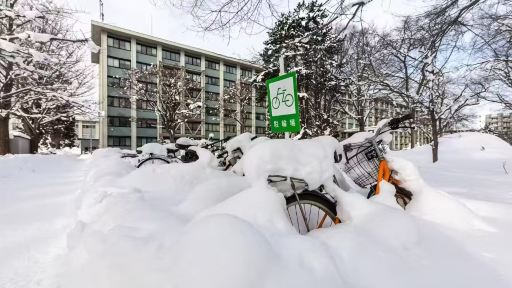 【札幌經典包車遊】滑雪場+北海道大學+中島公園|全境可定制 【札幌經典包車遊】滑雪場+北海道大學+中島公園|全境可定制