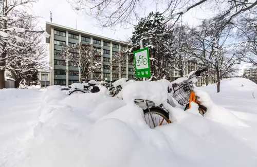 【札幌經典包車遊】滑雪場＋北海道大學＋中島公園｜全境可訂製