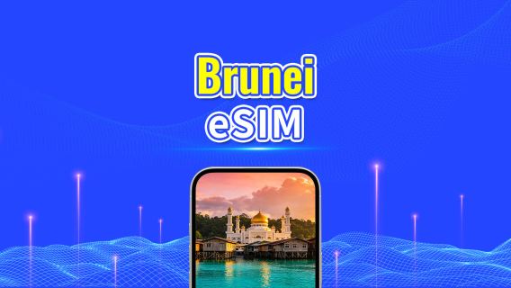 Brunei 5G eSIM | Daily Package/Data Package | 24-Hour Billing | 1-30 Days | QR Code