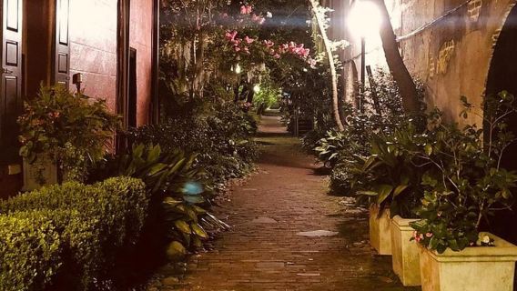 Charleston: Haunted Booze and Boos Walking Tour