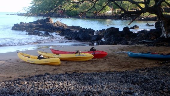 South Maui: Whale Watch Kayaking and Snorkel Tour in Kihei