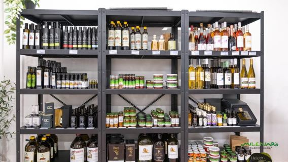 Tavira: Table Olive Factory Tour and Tasting