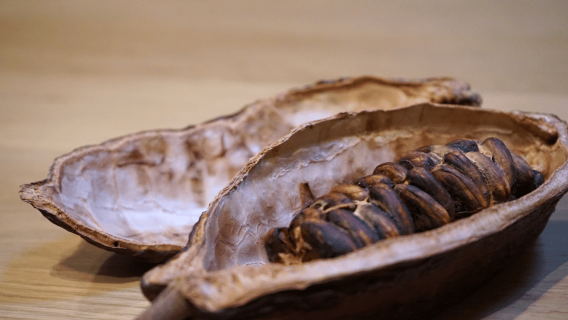 The Turin Chocolate Class & Tasting