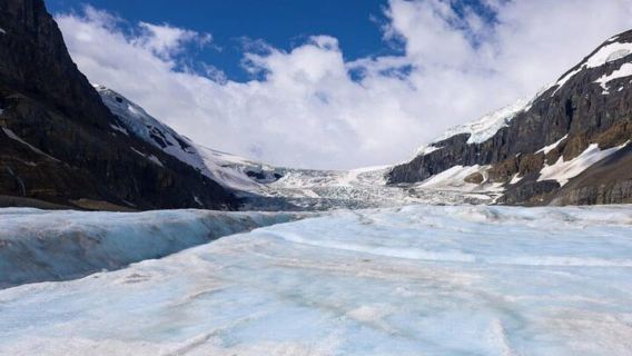 Columbia Icefield/Abraham Ice Bubbles Lake, Peyto, Bow Lake
