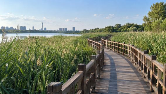 1-day tour to Beihu Wetland Park + Changchun Aviation Culture Exhibition Center + Wanshou Temple