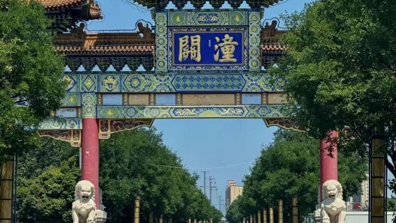 潼關古城+黃河古渡口+黃河風景區包車一日遊【一眼望三省】純玩
