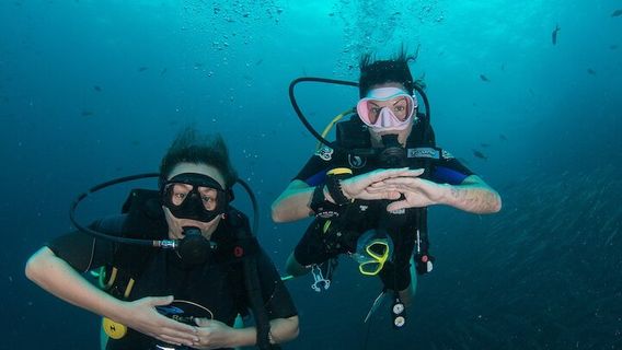 Koh TaoExperiences