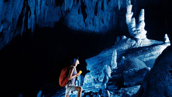 однодневный тур на Фиджи: полет на зиплайне в джунглях залива Моми (Momi Bay Zipline Tour)