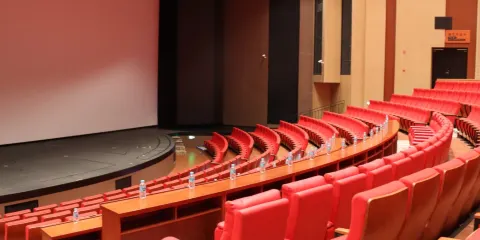 金豆藝術劇場《花開永不敗》演出票成人