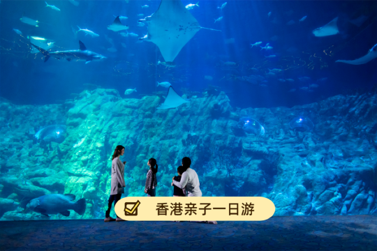 熊貓館+澳門科學館+澳門大賽車博物館+澳門塔+澳門新濠影滙度假區一日遊