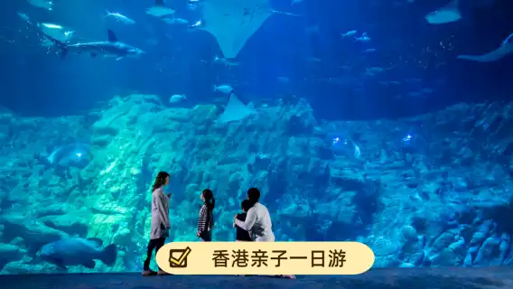 香港太平山頂+維多利亞港+星光大道+金紫荊廣場+香港會議展覽中心一日遊