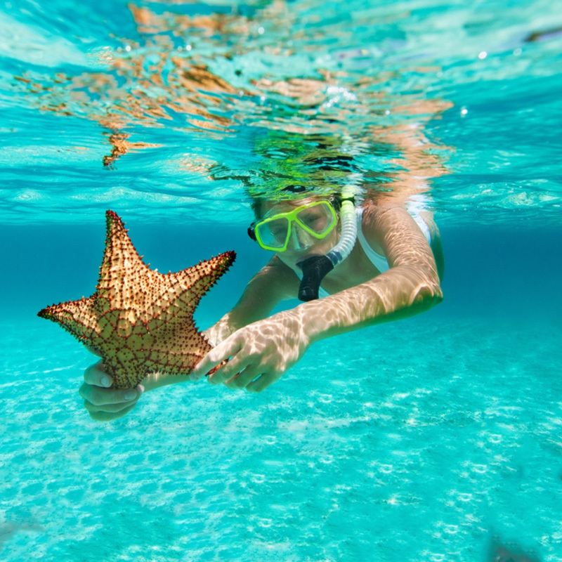 ทัวร์ 1 วันเกาะแตน [ตามล่าปลาดุกสีชมพูได้|สามารถเพิ่มเกาะหมูได้]