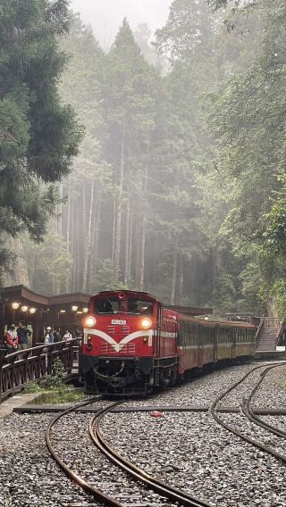1-day tour to Alishan Forest Recreation Area and Fenqi Lake (departing from Taichung city hotels, admission ticket not included)