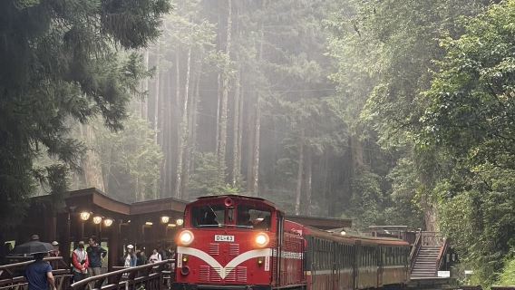 Passeio de um dia para a Área Recreativa Florestal de Alishan + Fenqihu [Partida de hotéis no centro de Taichung / ingressos não incluídos]
