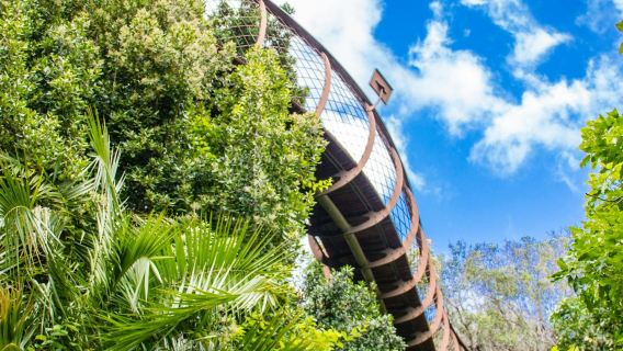 Constantia : Excursion d'une journée dans les vignobles + transfert aller-retour