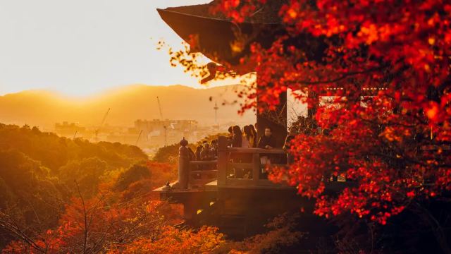 日本京都奈良一日遊（清水寺+伏見稻荷大社+奈良公園遇見萌鹿）